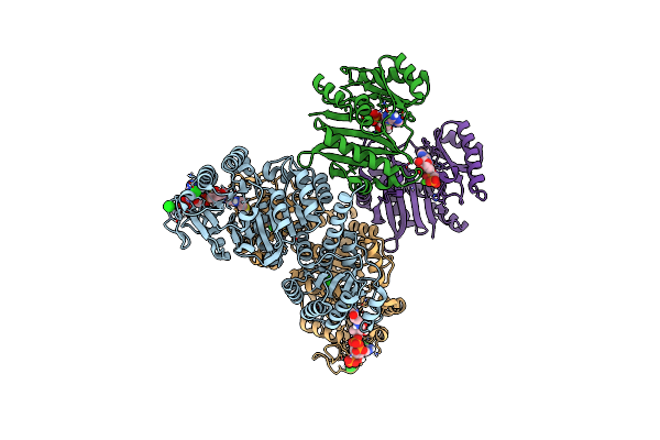 4XYM image