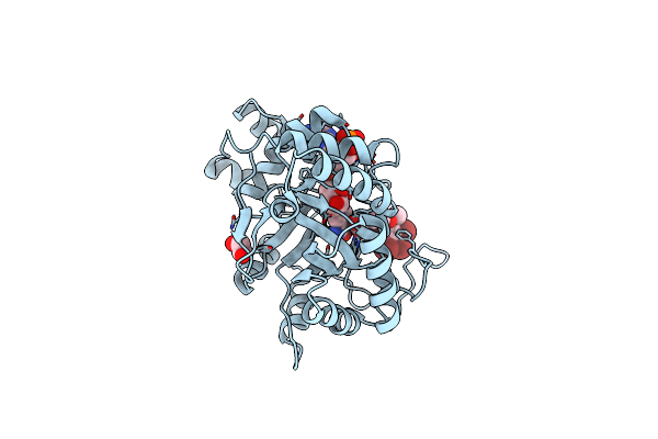 4XZL image