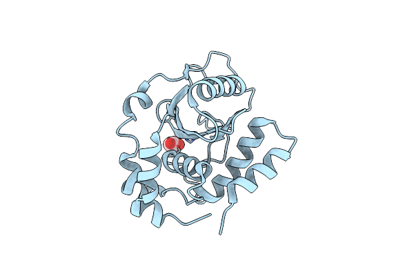 4XZX image