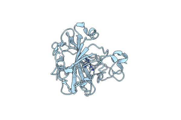4Y0J image