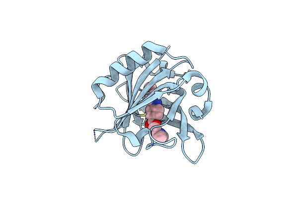 4Y0P image
