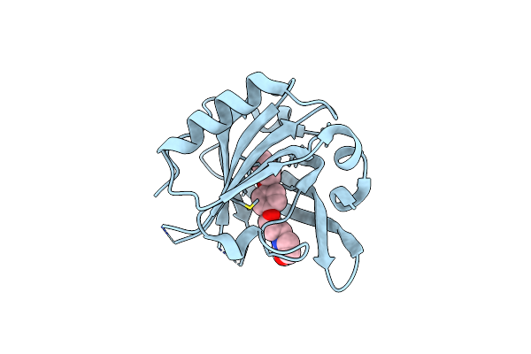 4Y0R image