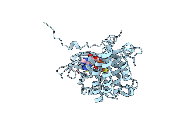 4Y12 image