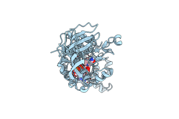 4Y1B image