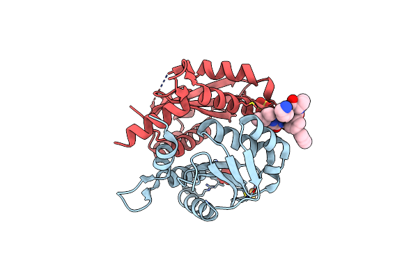 4Y1C image