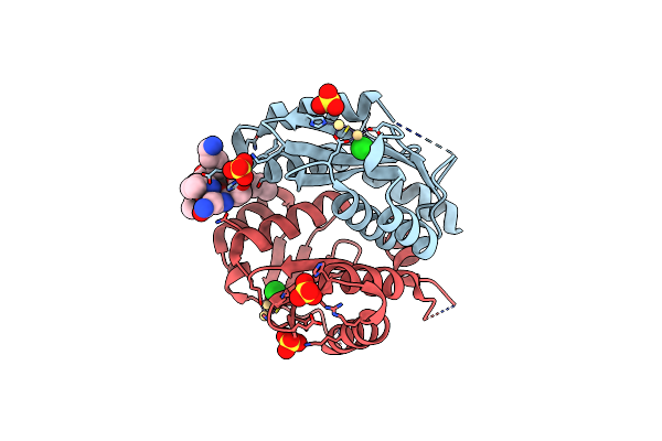 4Y1D image