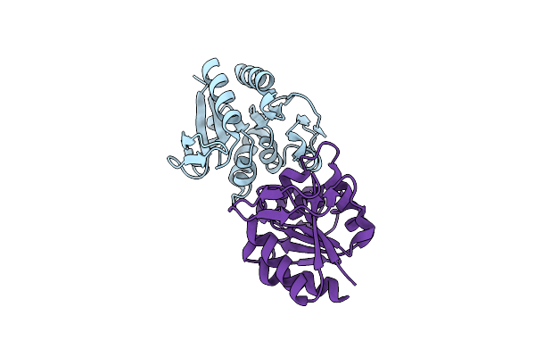 4Y1E image
