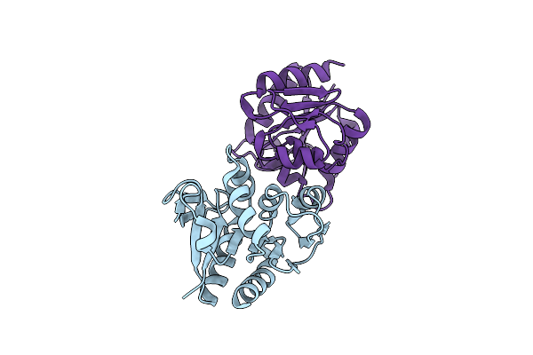 4Y1F image