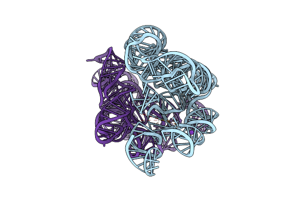 4Y1O image