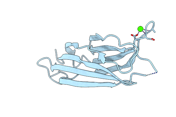 4Y1S image