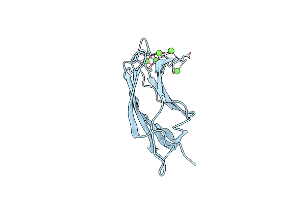 4Y1T image