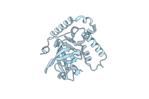 4Y1W image