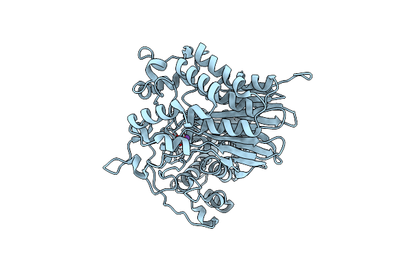 4Y23 image