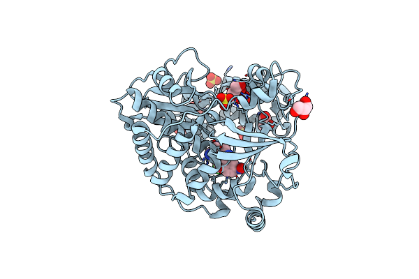 4Y2A image