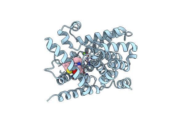 4Y2B image