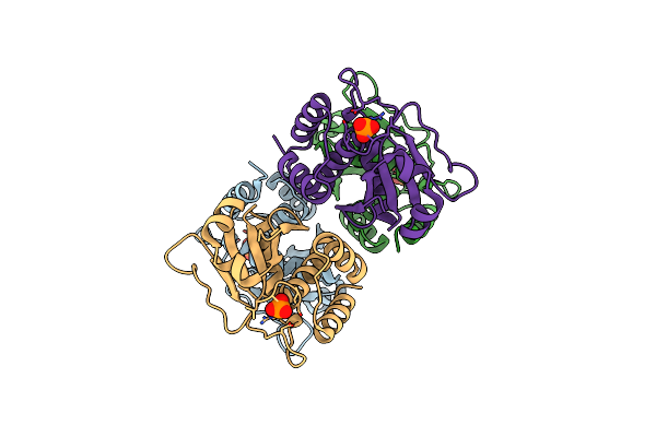 4Y2E image