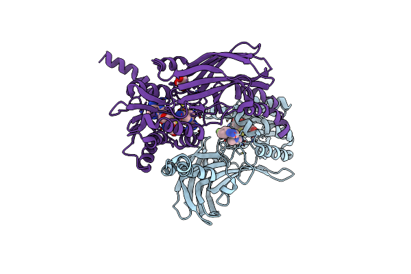 4Y2H image