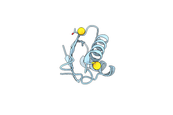 4Y2I image