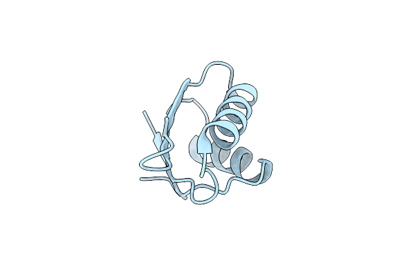 4Y2K image