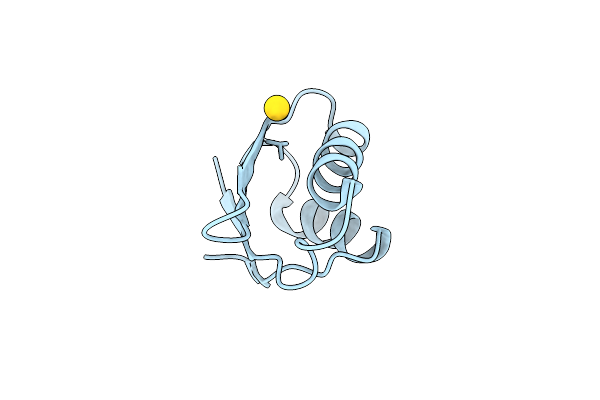 4Y2M image