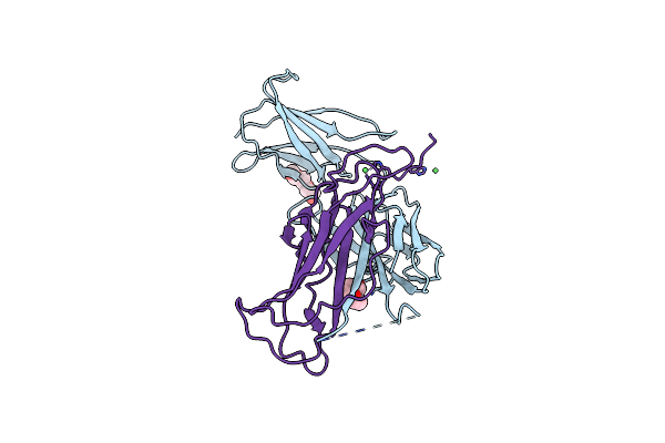 4Y2O image