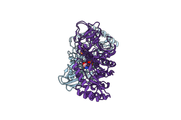 4Y2W image