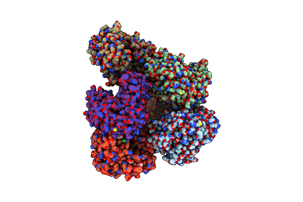 4Y3C image