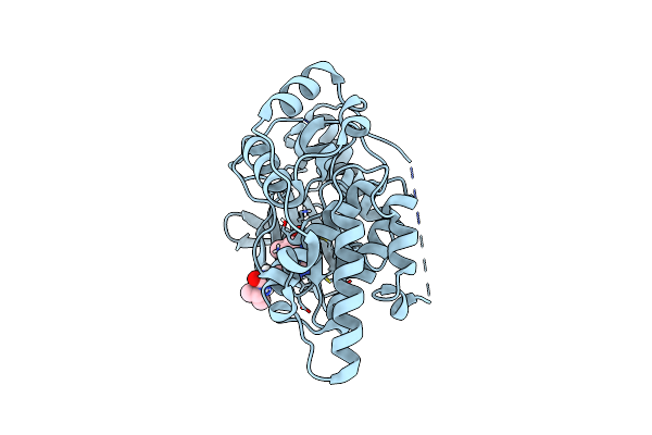 4Y46 image