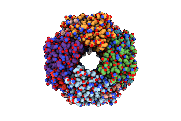 4Y4N image
