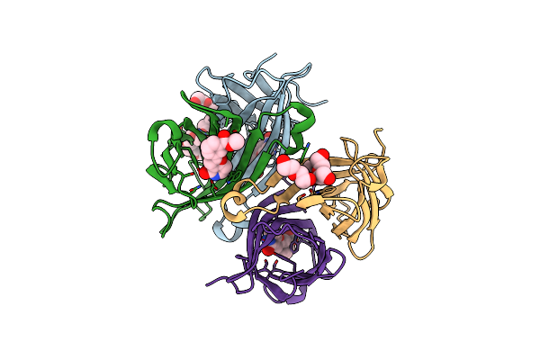 4Y5D image