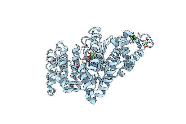 4Y5Q image