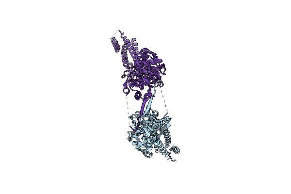 4Y5U image