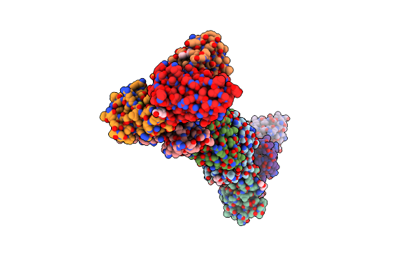 4Y5X image