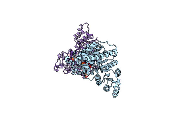 4Y6R image