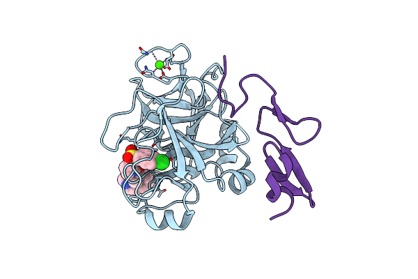 4Y7B image