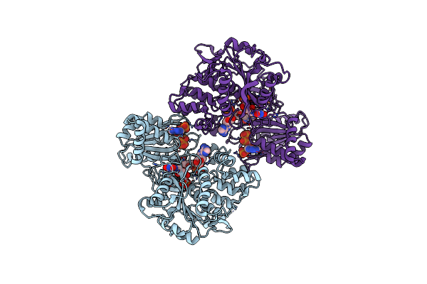 4Y7C image
