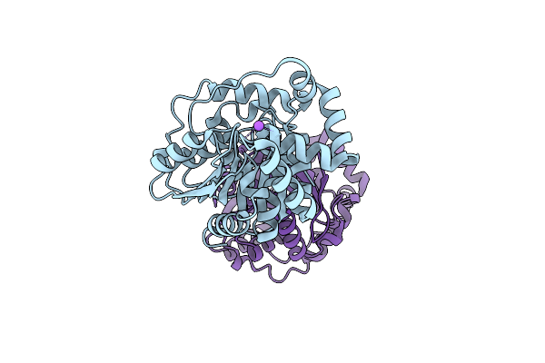 4Y7D image