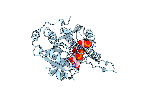 4Y7G image