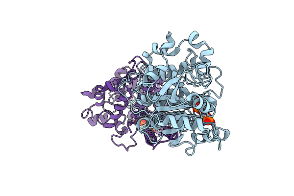 4Y7I image