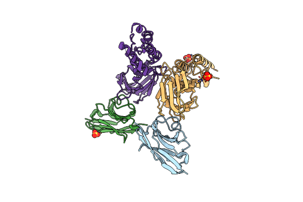 4Y7M image