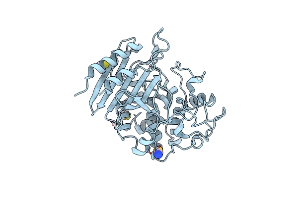4Y7P image