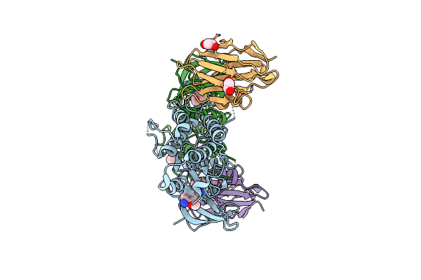 4Y8D image