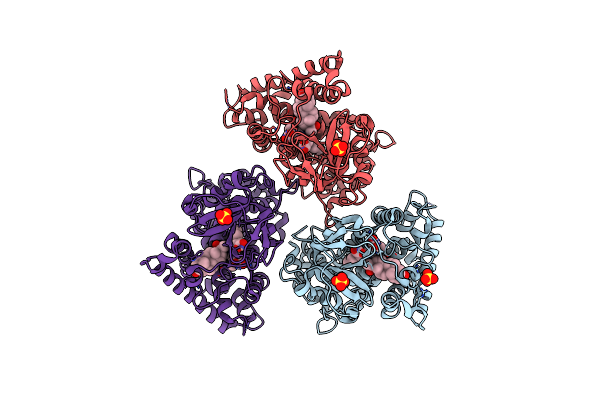 4Y8W image