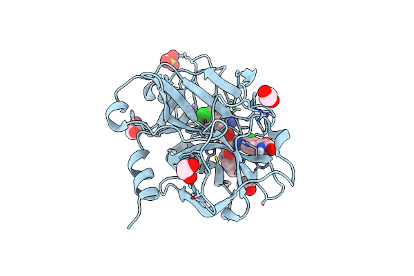 4Y8Z image