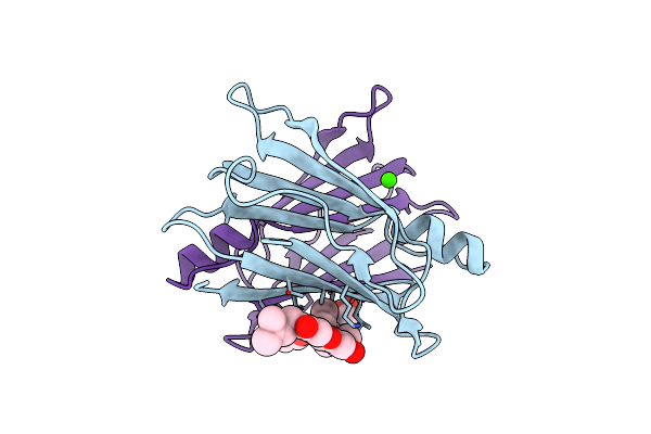 4Y9B image