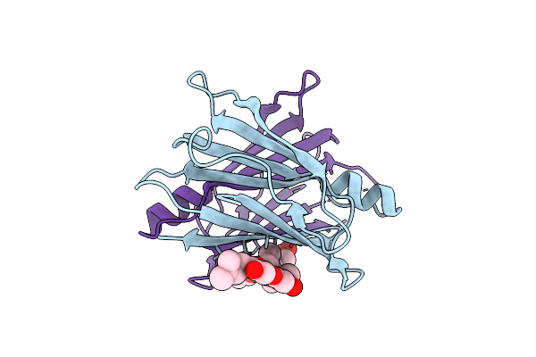 4Y9C image