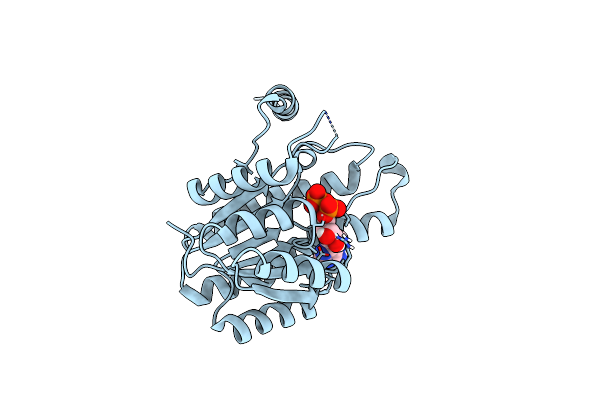 4Y9D image