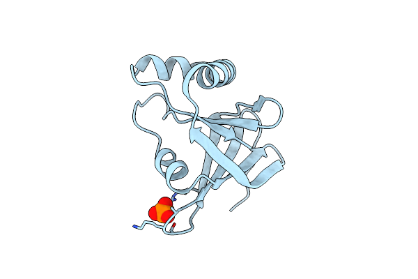 4Y9I image