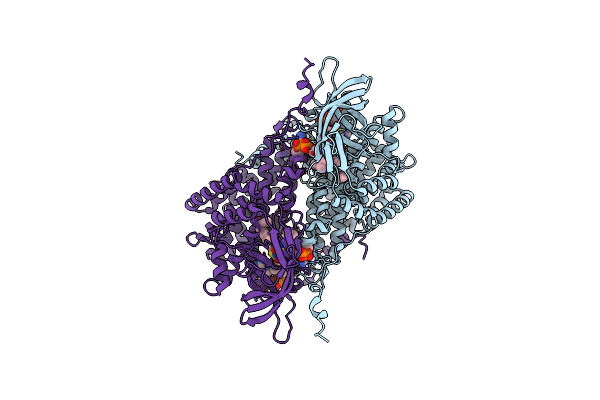 4Y9J image