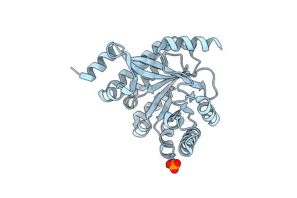 4Y9M image
